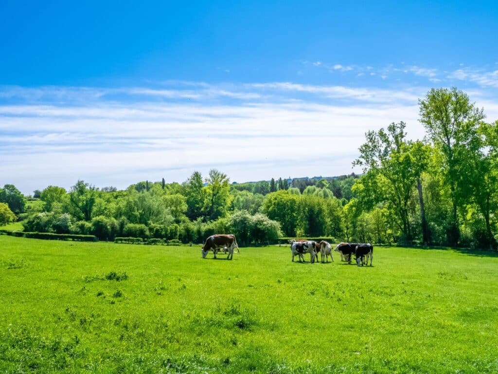exploitation agricole notaire orchies